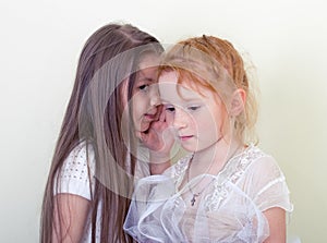 Two little girls whispering photo