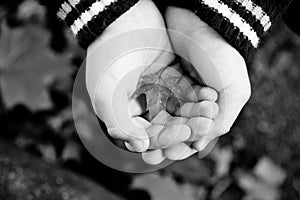 Two little hands with a leaf