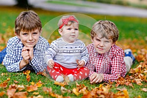 Two little happy kid boys with newborn baby girl, cute sister. Siblings on grass in autumn park with yellow and red