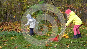 Two little helpers children raking leaves in garden. Gimbal motion