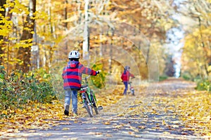 Two little kid boys with bicycles in autumn forest