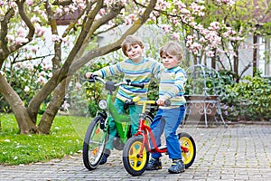 Two little kid boys biking with bicycles in park