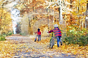 Two little kid boys cycling with bicycles in autumn forest park in colorful clothes