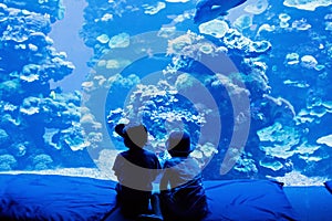 Two little kid boys observing penguins in a recreation area