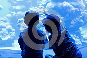 Two little kid boys observing penguins in a recreation area