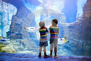 Two little kid boys observing penguins in a recreation area