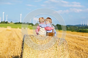 Two little kid boys, twins and siblings sitting on warm summer day on hay stack in wheat field. Happy children playing