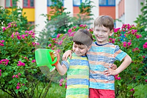 Two little kid boys watering roses with can in garden. Family, garden, gardening, lifestyle