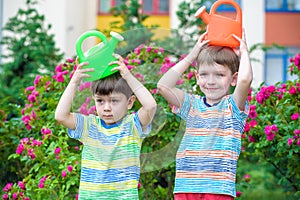 Two little kid boys watering roses with can in garden. Family, garden, gardening, lifestyle