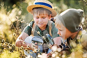 Two little kids with backpacks examining plants through magnifying glass in forest