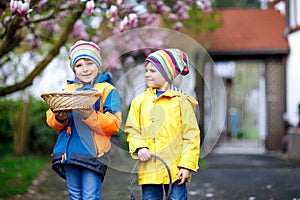 Two little kids boys and friends making traditional Easter egg hunt