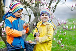 Two little kids boys and friends making traditional Easter egg hunt