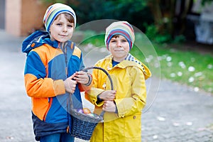 Two little kids boys and friends making traditional Easter egg hunt