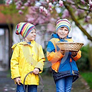 Two little kids boys and friends making traditional Easter egg hunt in spring garden, outdoors. Siblings having fun with