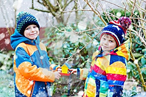 Two little kids boys hanging bird house on tree for feeding in winter