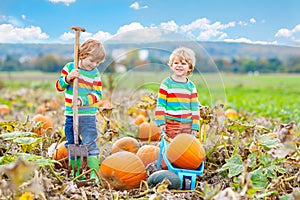 Two little kids boys sitting on big pumpkins on patch