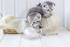 Two little kittens playing with yarn, wool balls.