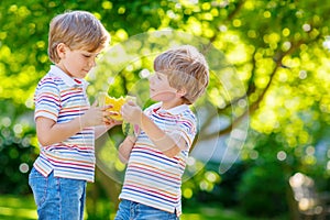 Two little preschool kid boys eating watermelon in summer