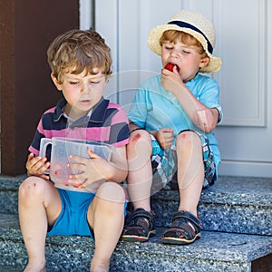 Two little sibling boys eating fresh strawberries