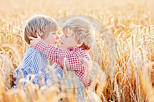 Two little sibling boys and friends in check shirts having fun and hugging on yellow wheat field in summer. Active