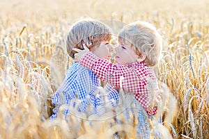 Two little sibling boys having fun and hugging on yellow wheat