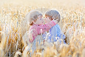 Two little sibling boys having fun and hugging on yellow wheat