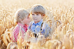 Two little sibling boys having fun and speaking on yellow wheat