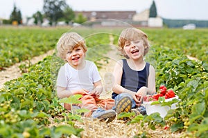 Two little sibling boys having fun on strawberry farm