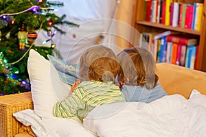 Two little sibling boys reading book on Christmas