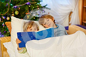 Two little sibling boys reading book on Christmas