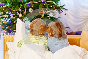 Two little sibling boys reading book on Christmas