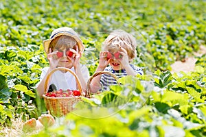 Two little sibling boys on strawberry farm in summer