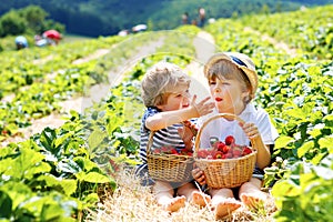 Two little sibling kids boys having fun on strawberry farm in summer. Children, cute twins eating healthy organic food