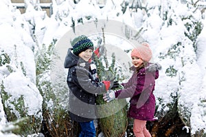 Two little siblings kid boy and girl holding christmas tree. Happy children in winter clothes choosing and buying xmas