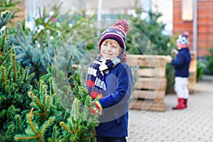 Two little siblings kids boys holding Christmas tree on a market. Happy children in winter fashion clothes choosing and