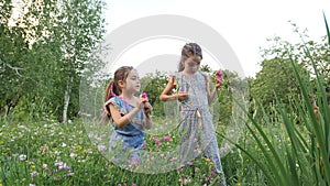 Two little siblings in a meadow collecting wild flowers and making a bouquet. Happy little girls walk in the open air on