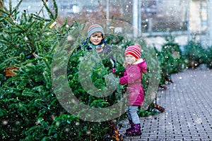 Two little siblings toddler girl and kid boy holding Christmas tree on a market. Happy children in winter fashion