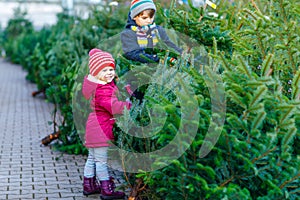 Two little siblings toddler girl and kid boy holding Christmas tree on a market. Happy children in winter fashion