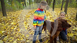 Two little sister girls play in the autumn Park with an Irish setter dog