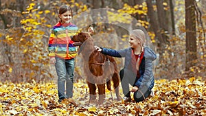 Two little sister girls play in the autumn Park with an Irish setter dog