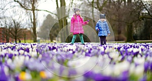 Two little sisters picking crocus flowers on beautiful blooming crocus meadow on early spring