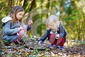 Two little sisters picking the first flowers of spring