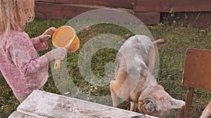 Two little sisters play and stain their dog in flour.