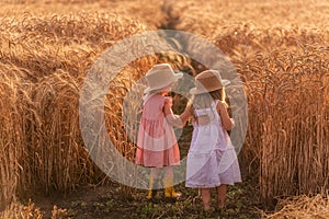Two little sisters in straw hats and pink dresses are running around in a wheat field, having fun