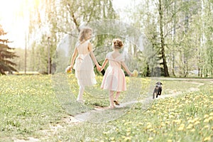 two little sisters walking along a path through a meadow .