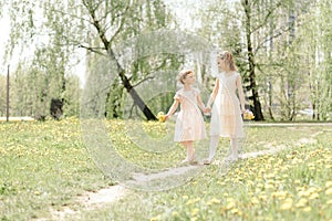 two little sisters walking along a path through a meadow .