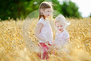 Two little sisters in wheat field on summer day