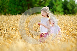 Two little sisters in wheat field on summer day