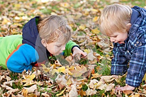 Two little toddler boys in autumn park