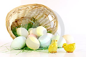 Two little yellow chicks with basket of Easter eggs